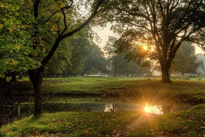 Dülmen, Wildpark -- 2015 -- 8871-7